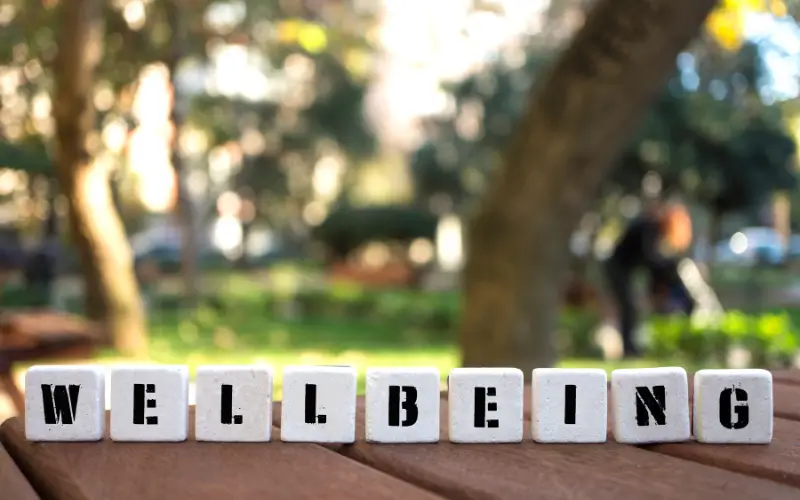 Well-Being Strategies V Strategies for Well-Being