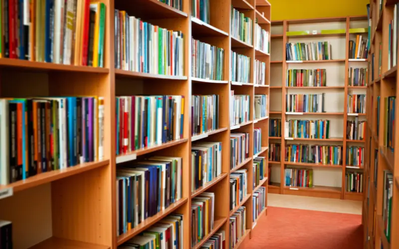 Researching in a Modern High School Library