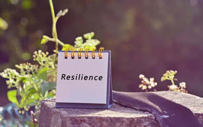 From Coping to Flourishing Rethinking Resilience in School Leadership
