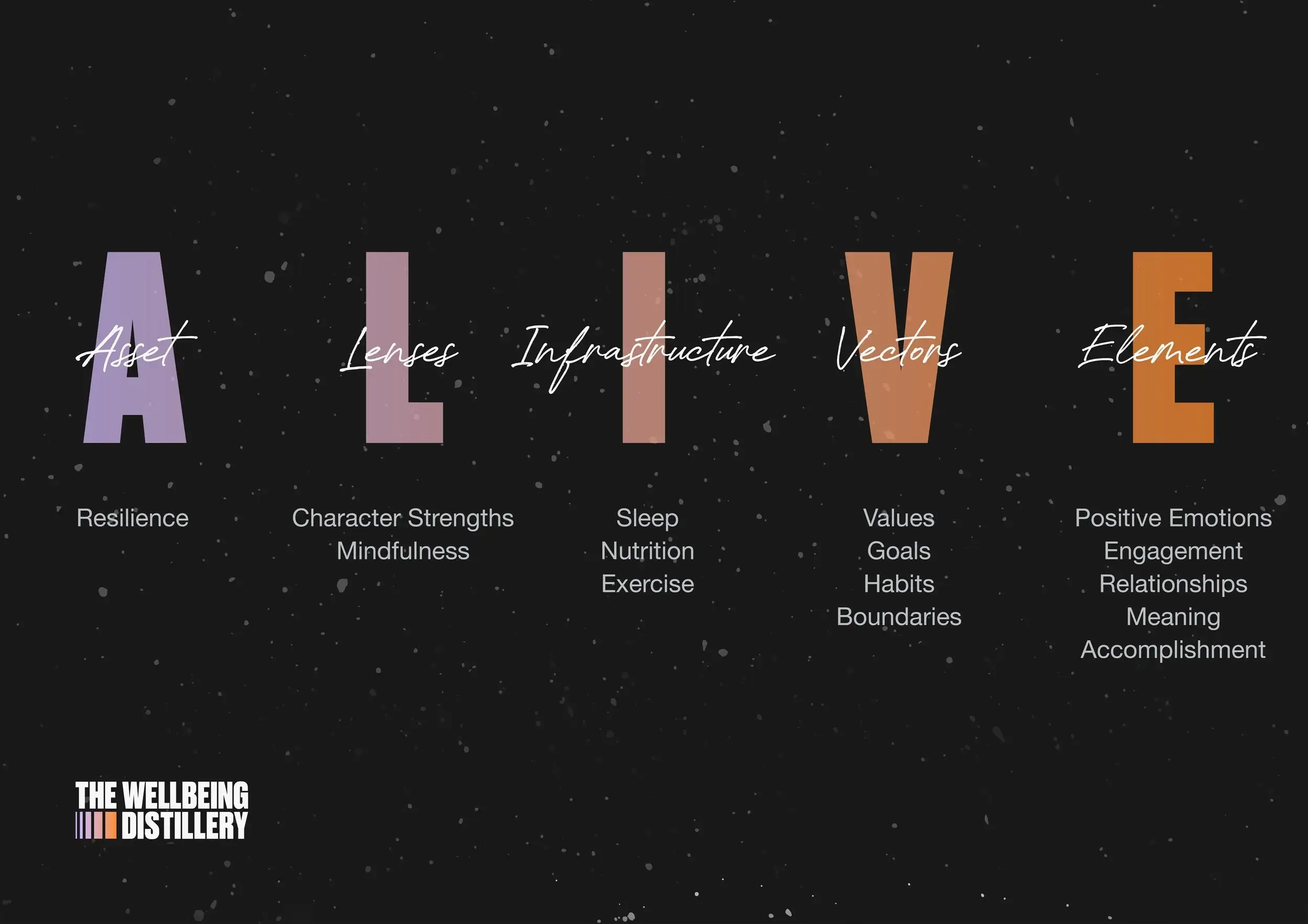 The ALIVE Model: A Bold New Framework for Elevating Educator Wellbeing