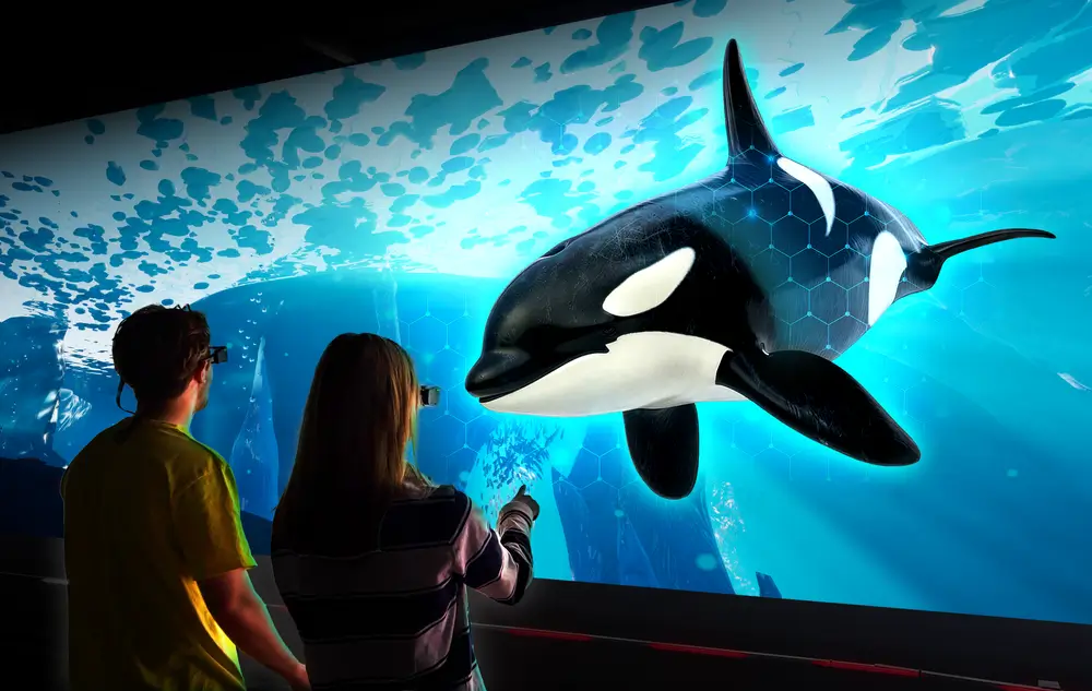 How Holograms Enhance Student Learning (and Make Excursions Fun!)