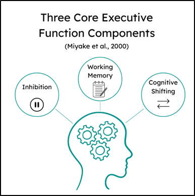 Three core esecutive function components: Inhibition, Working Memory, Cognitive Shifting