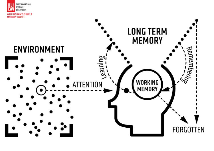Willingham memory model diagram