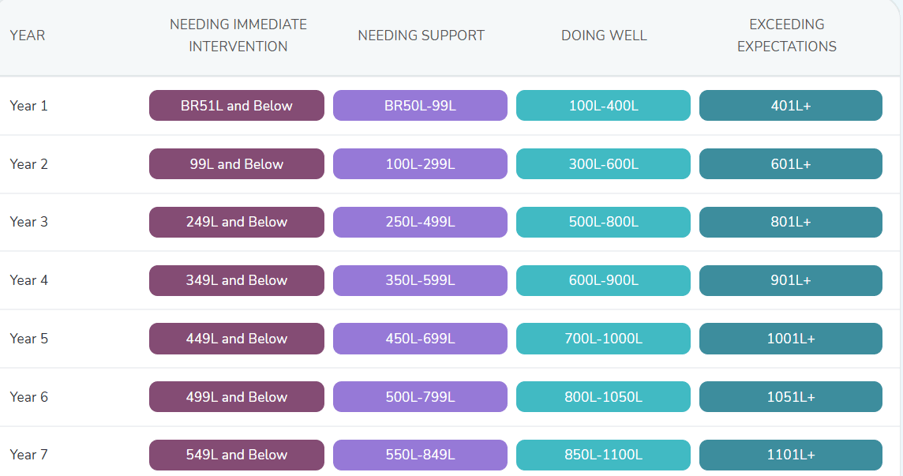 How Literacy Pro Helps Students Match, Monitor, and Motivate Their Reading