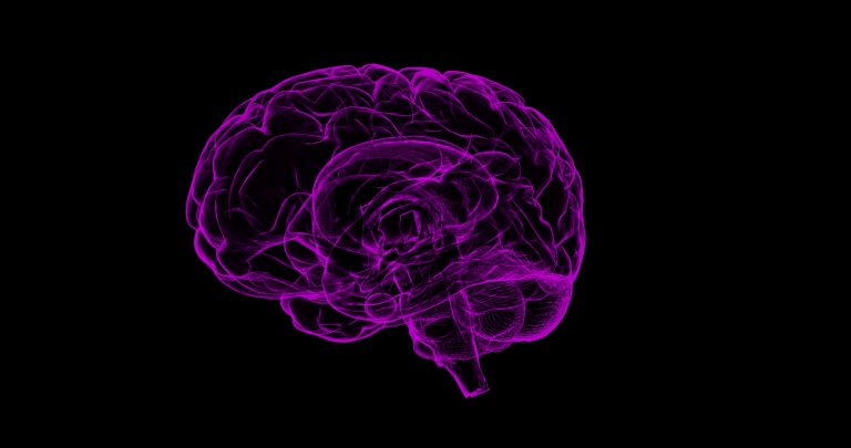 Image of a brain